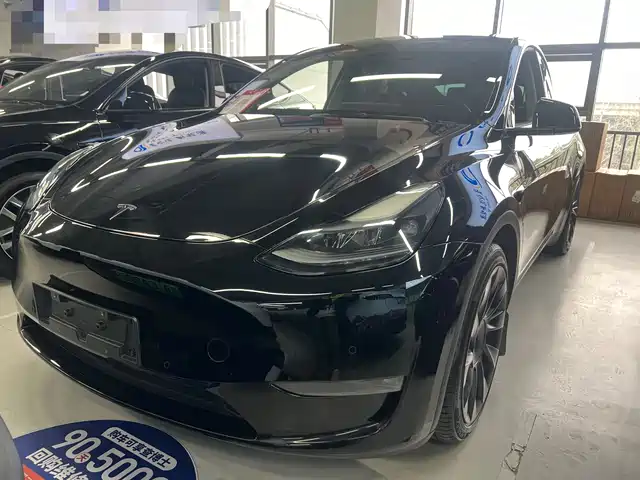 TESLA MODEL Y 2021