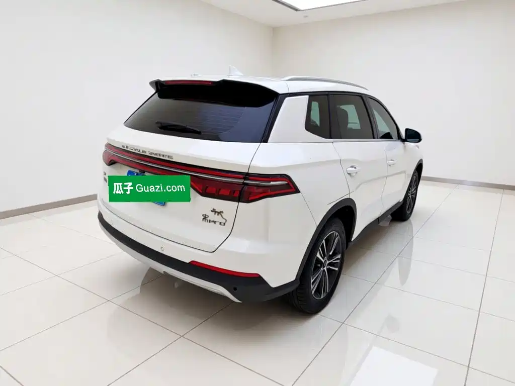 BYD Pro — миниатюра 6