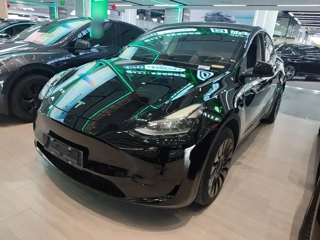 Tesla Model Y — миниатюра 2
