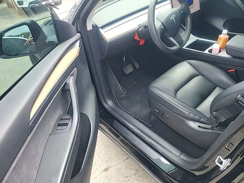 Tesla Model Y — миниатюра 15