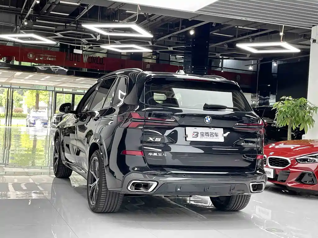 BMW X5 — миниатюра 12
