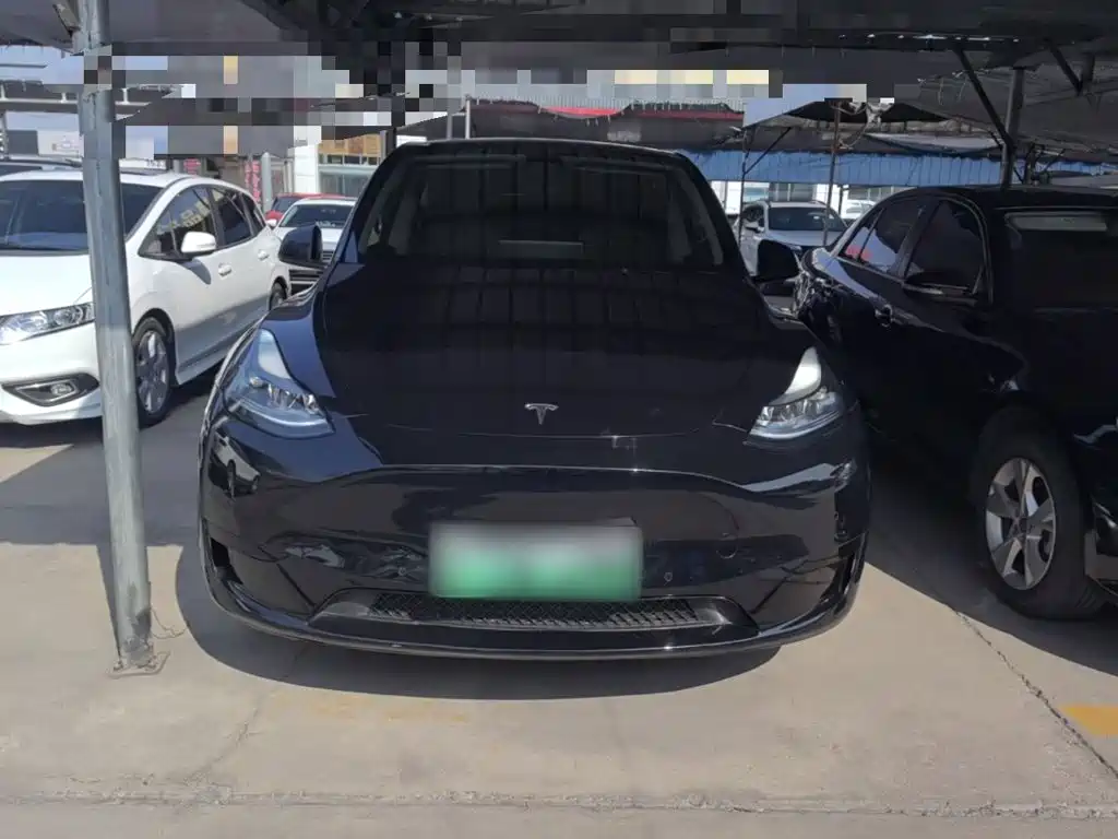 Tesla Model Y — миниатюра 3