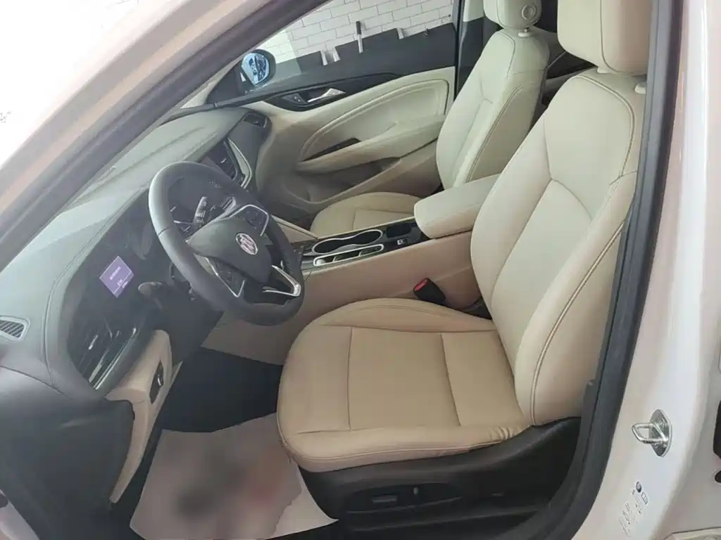 Buick Regal — миниатюра 15