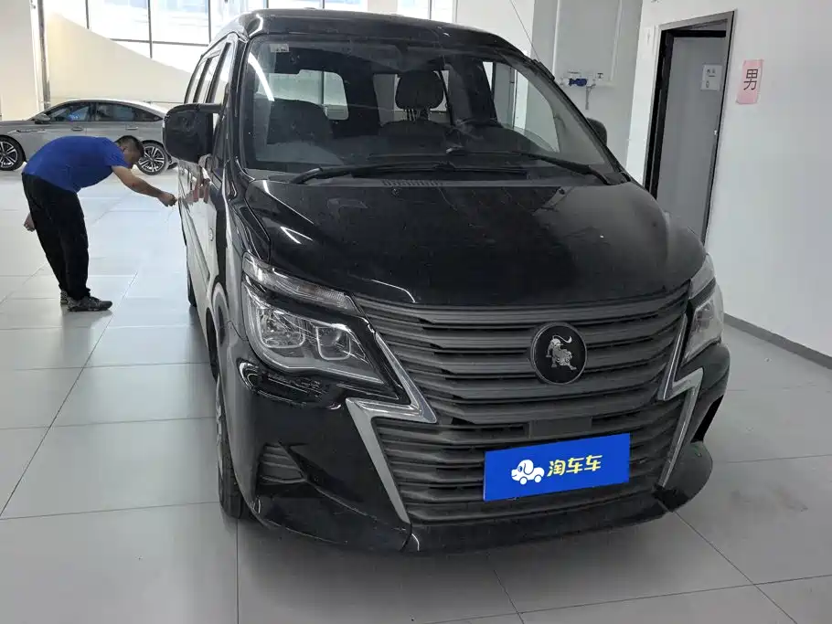 Fengxing Lingzhi — миниатюра 2