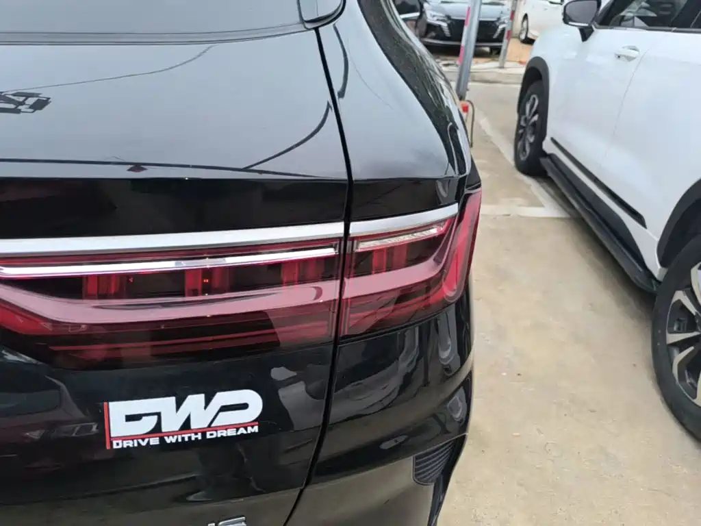 BYD PLUS New Energy — миниатюра 8