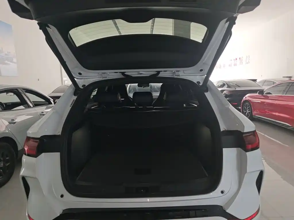 BYD PLUS New Energy — миниатюра 19