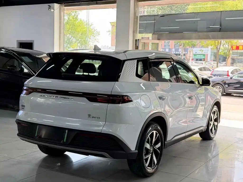 BYD Pro New Energy — миниатюра 5