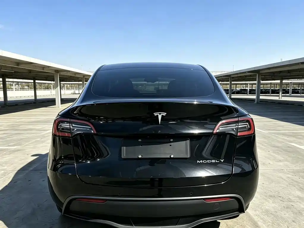 Tesla Model Y — миниатюра 4