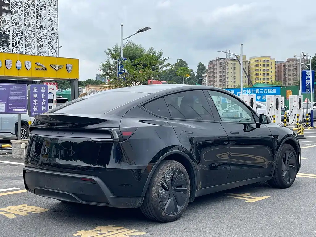 Tesla Model Y — миниатюра 11