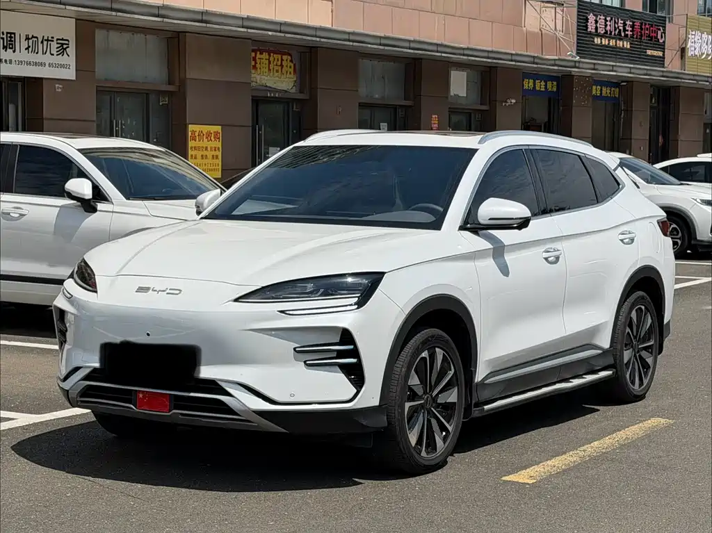 Byd PLUS New Energy 2024