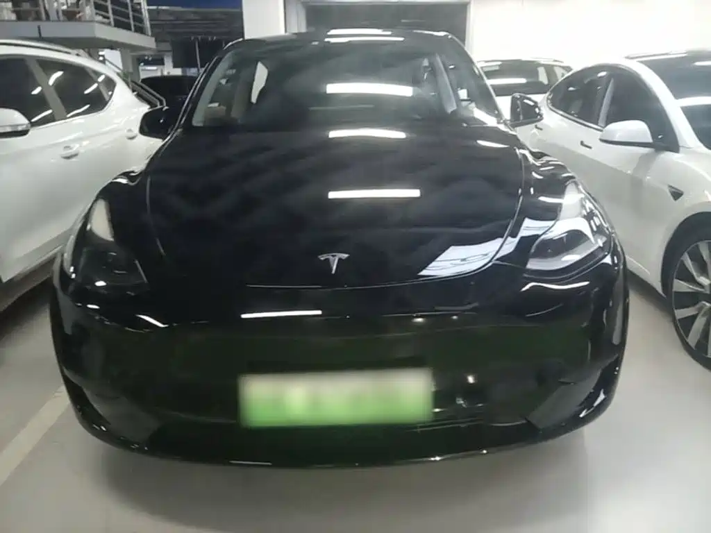 Tesla Model Y — миниатюра 3