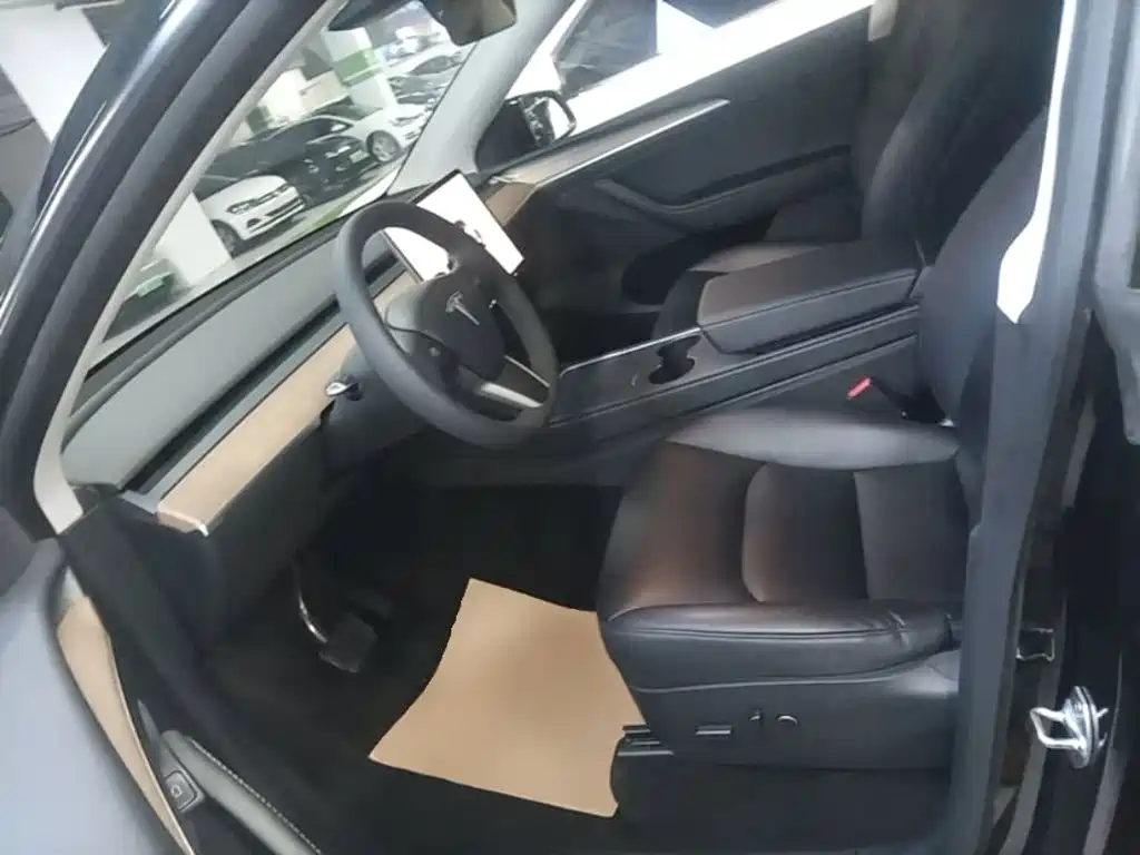 Tesla Model Y — миниатюра 15