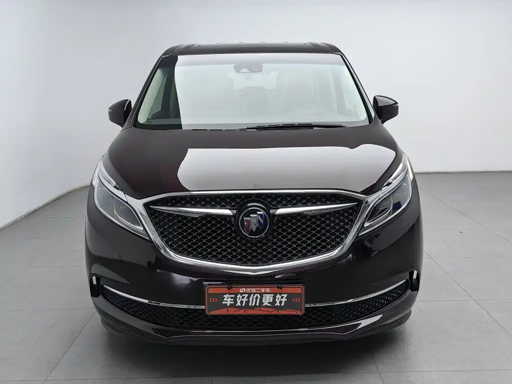 Buick GL8 — миниатюра 3