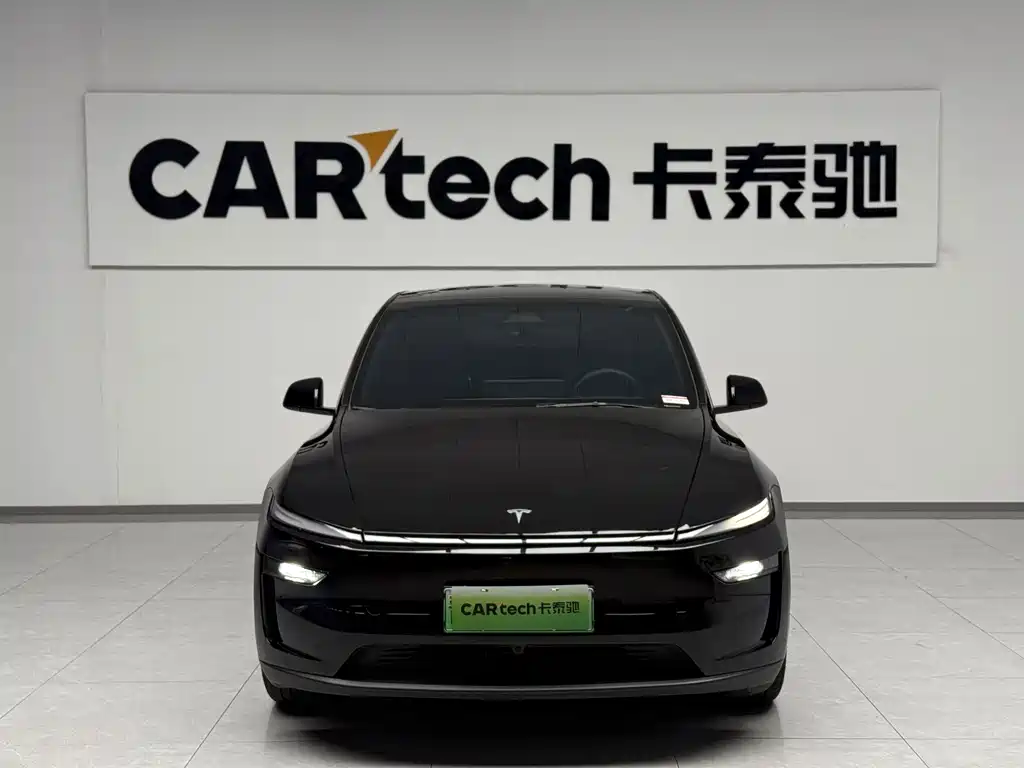 Tesla Model Y — миниатюра 2