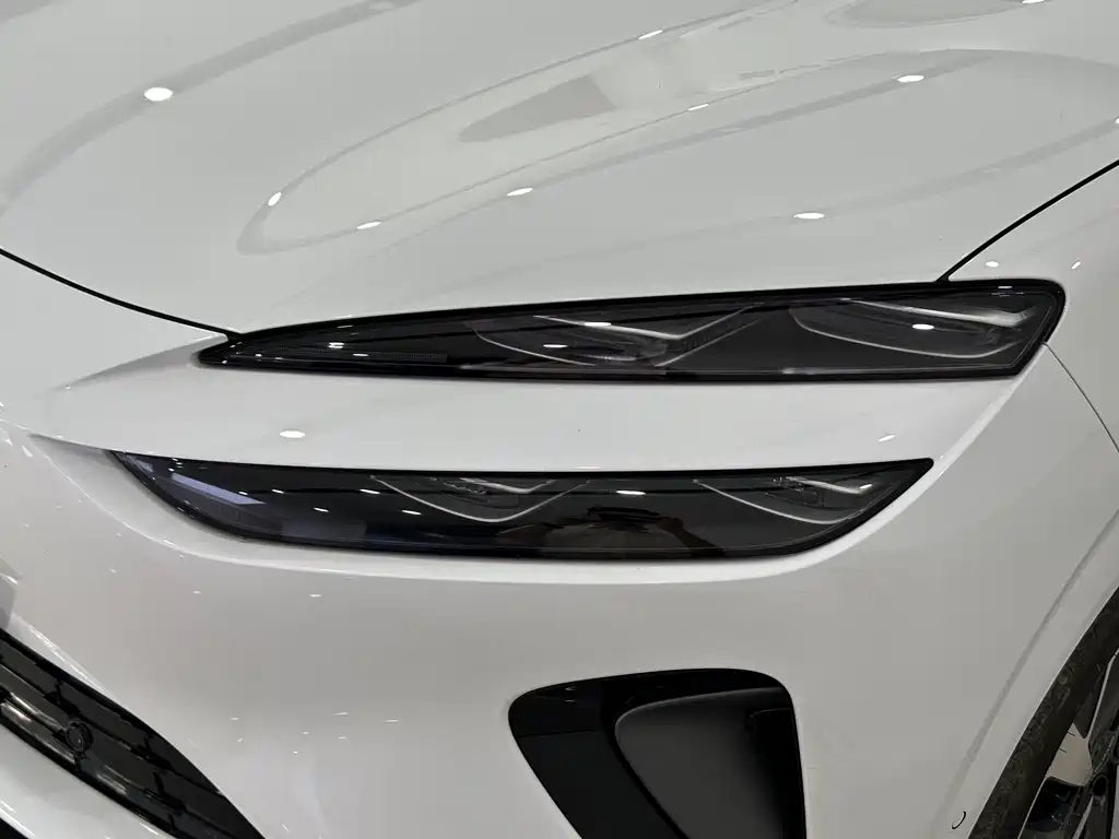 BYD SEA LION 06 NEW ENERGY