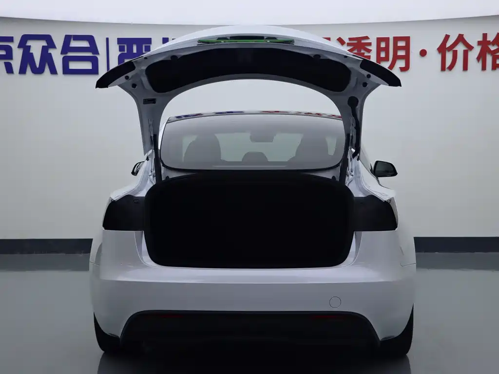 Tesla Model 3 — миниатюра 21