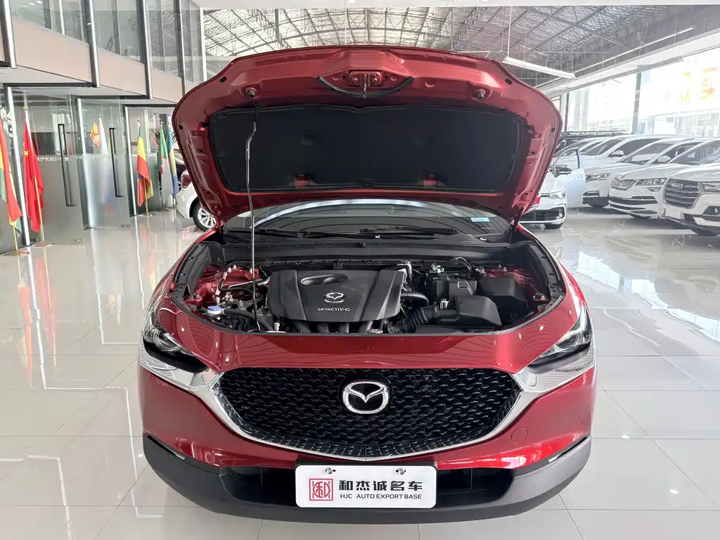 Mazda CX-30 — миниатюра 14