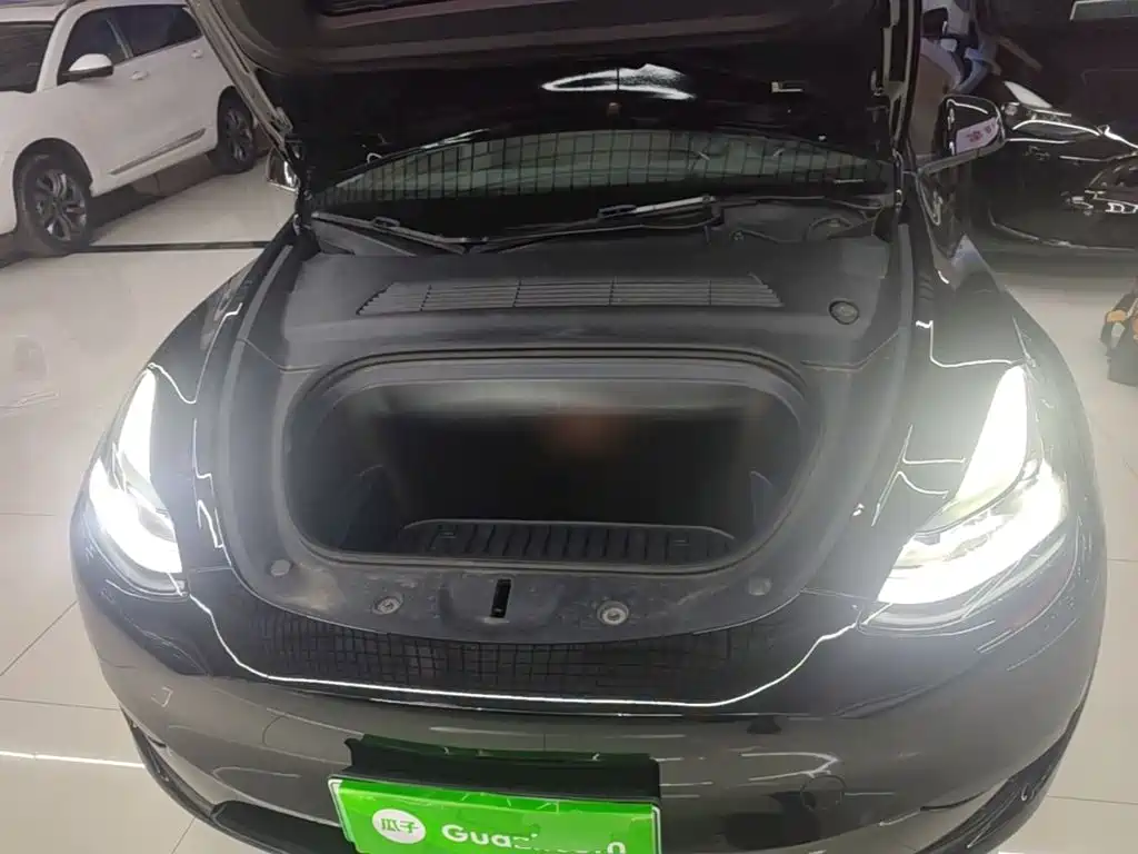 Tesla Model Y — миниатюра 20