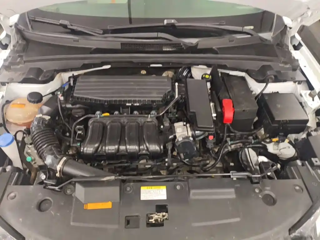Aeolus Yixuan — миниатюра 20