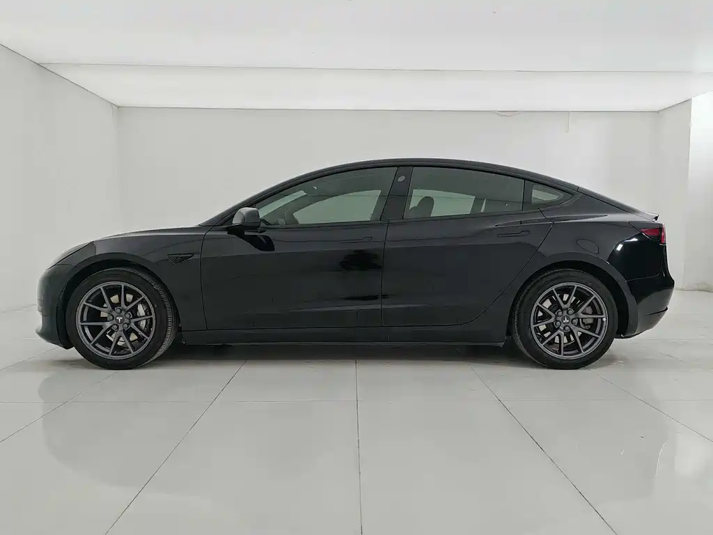 Tesla Model 3 2021 3D1