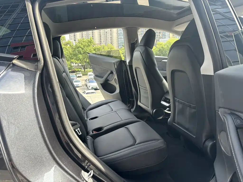 Tesla Model Y — миниатюра 11