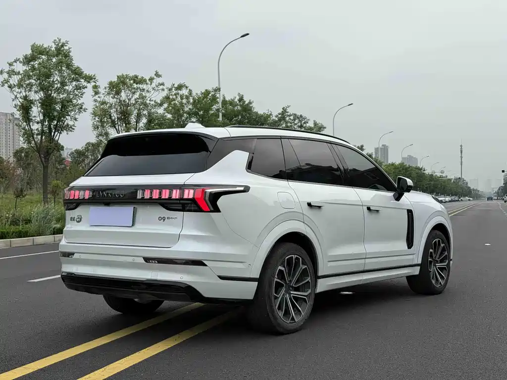 Lynk & Co 09 EM-P 2024 2.0TD EM-P PRO мест