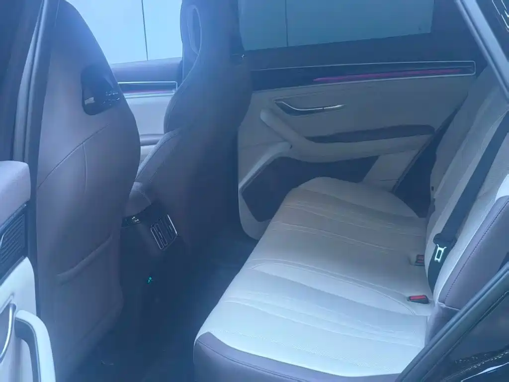 BYD PLUS New Energy — миниатюра 11