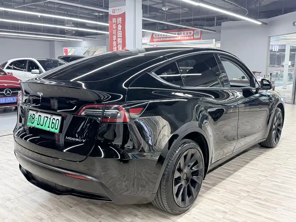 Tesla Model Y — миниатюра 4