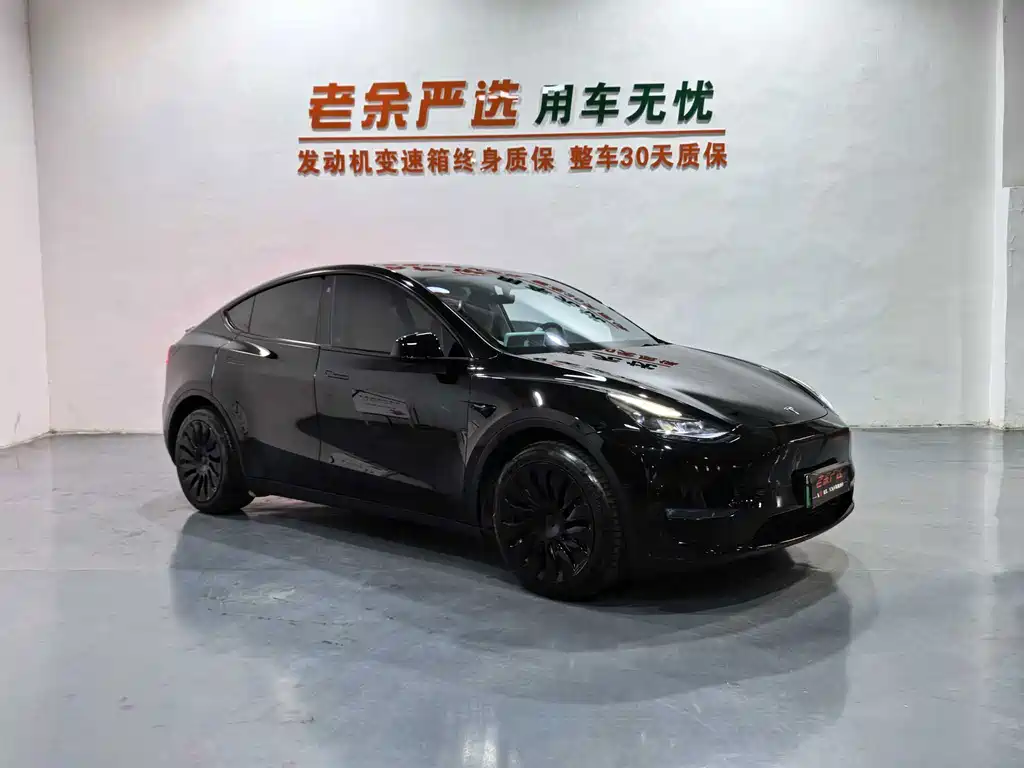 Tesla Model Y — миниатюра 3