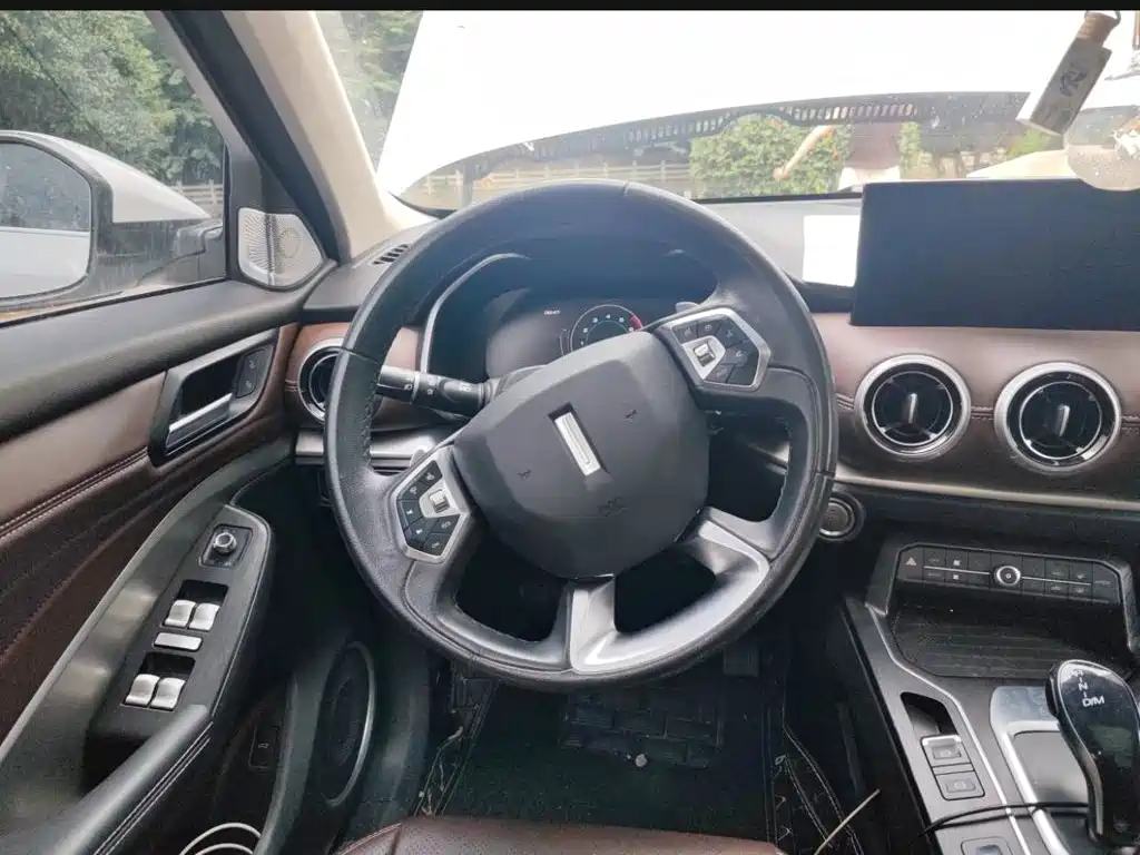 Wey Wey VV6 — миниатюра 15