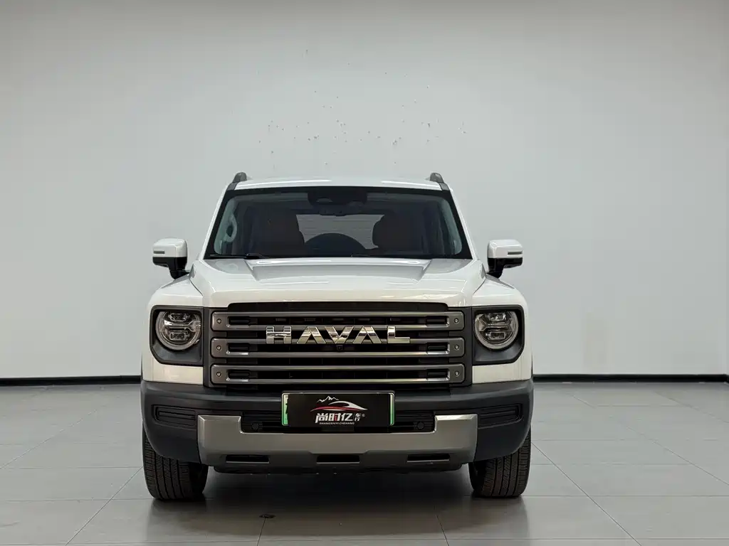 Haval Menglong New Energy — миниатюра 2