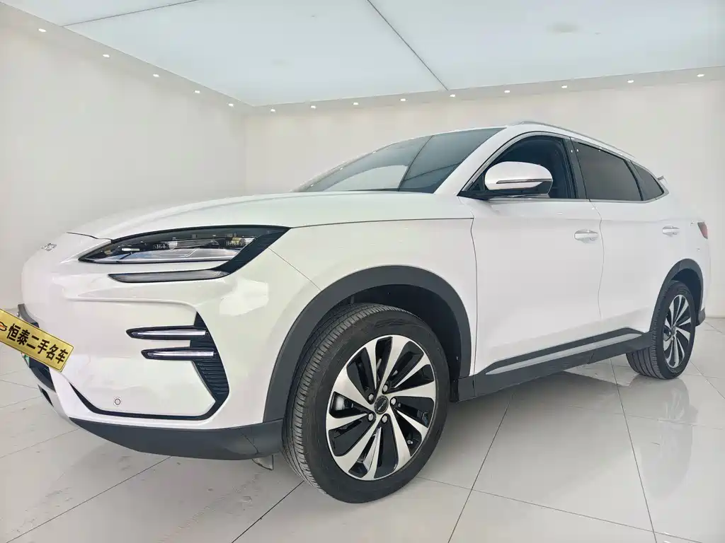 BYD SONGJIANG NEW ENERGY