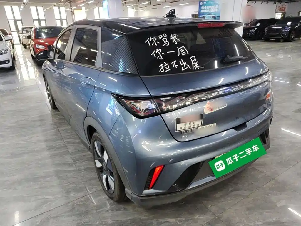BYD Dolphin — миниатюра 5