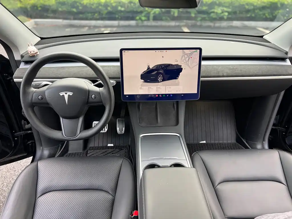 Tesla Model Y — миниатюра 9