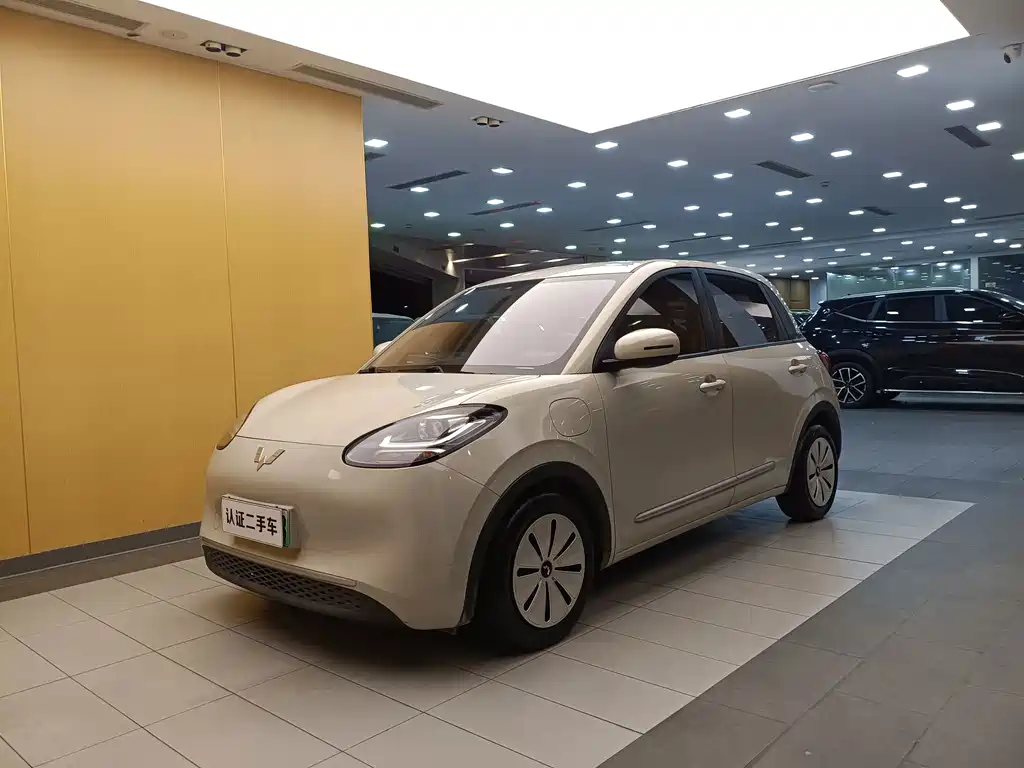 Wuling Bingo