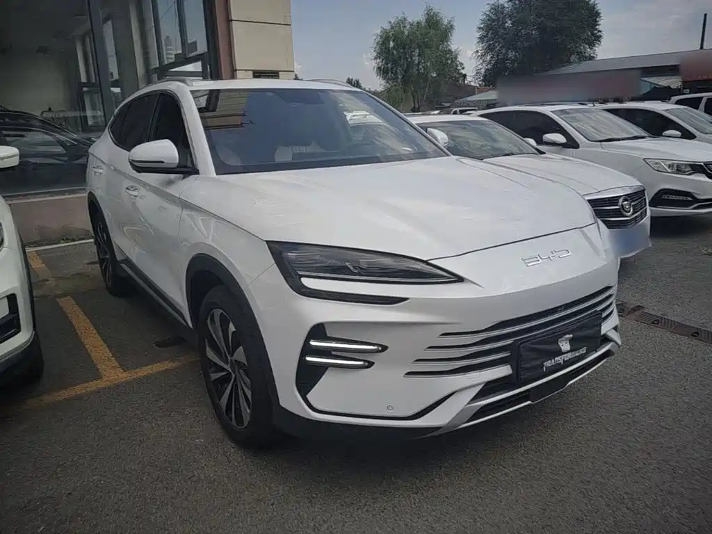 BYD PLUS New Energy — миниатюра 4