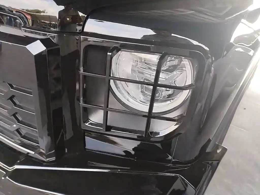 Haval Menglong New Energy — миниатюра 24