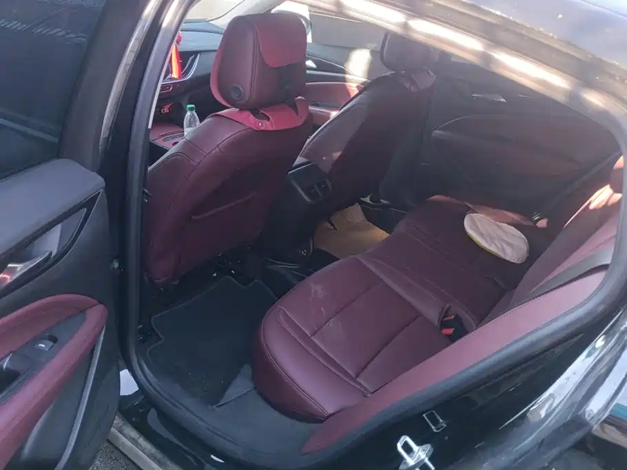 Buick Regal — миниатюра 11