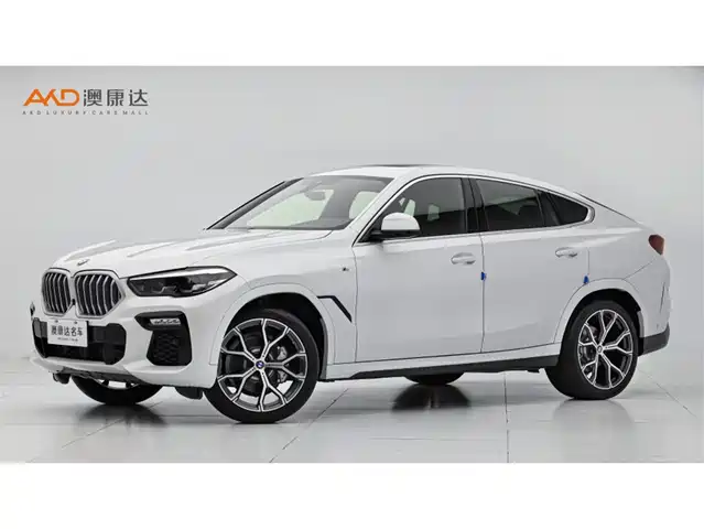 BMW X6 2021
