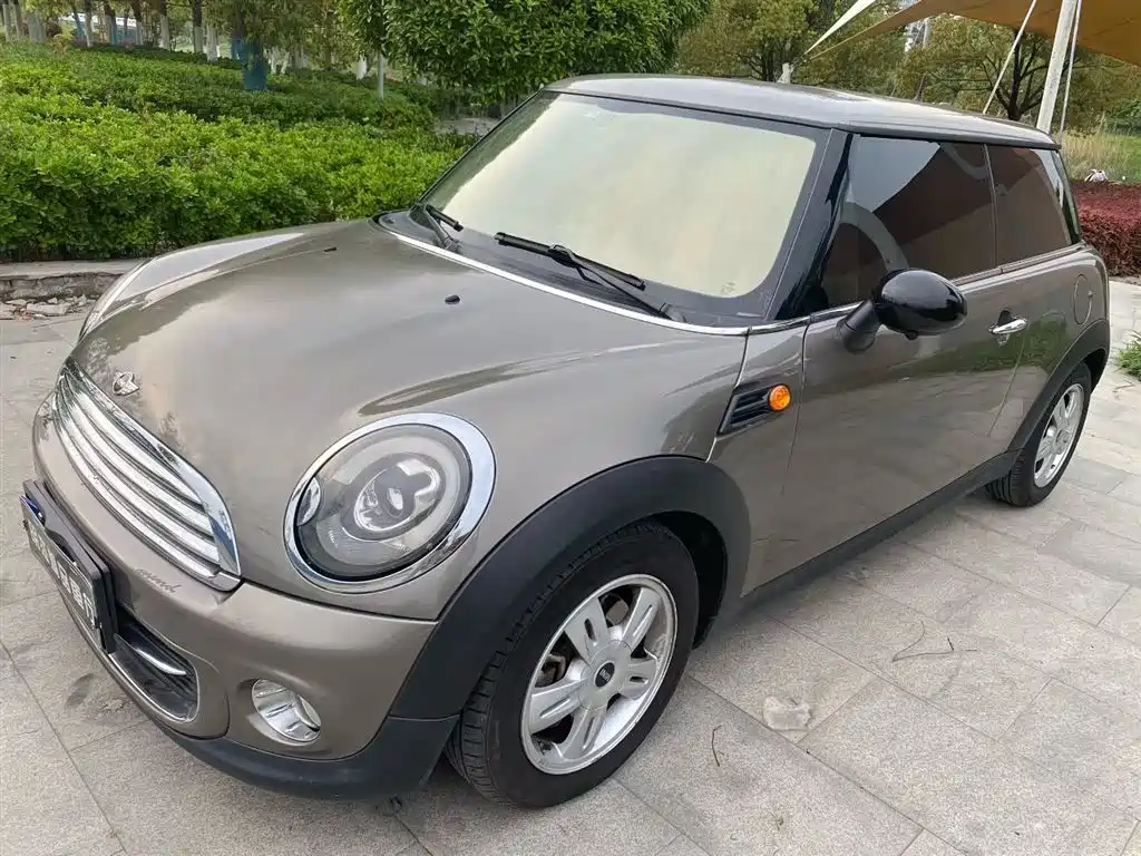 Mini Mini 2011