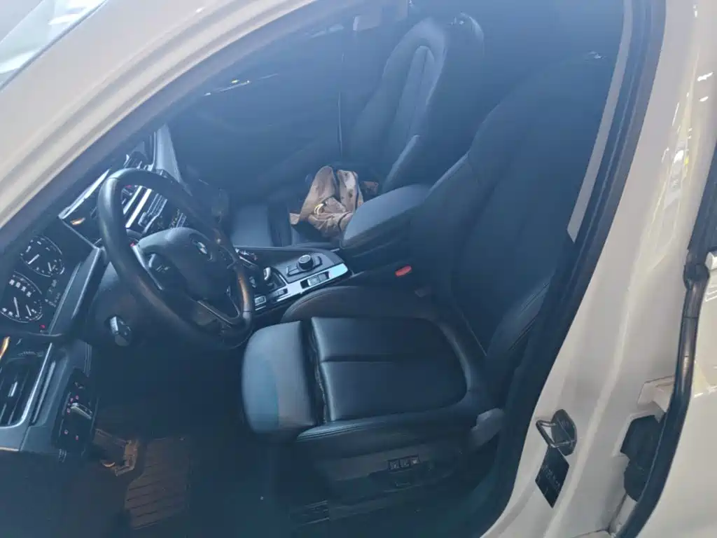 BMW X2 (Import) — миниатюра 15