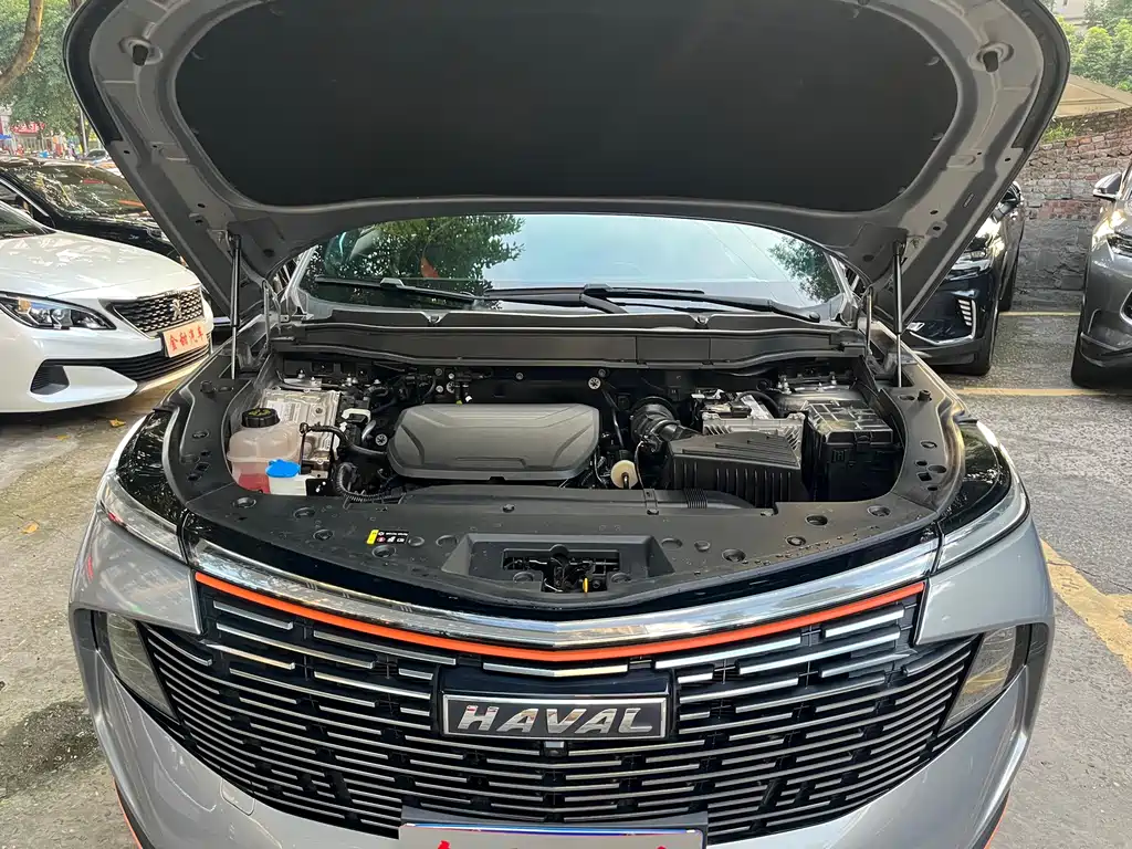 Haval Shenshou — миниатюра 15