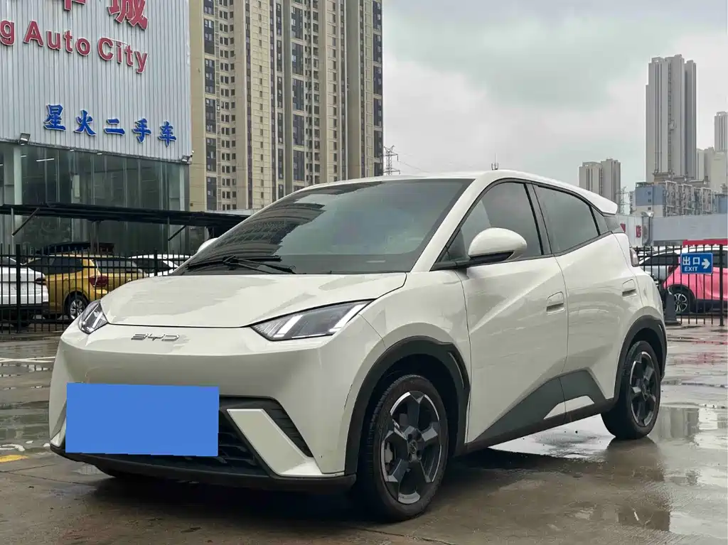 BYD Seagull