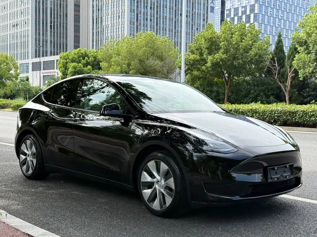 Tesla Model Y — миниатюра 7