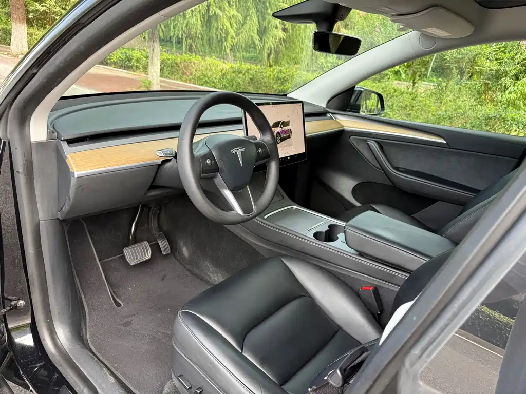 Tesla Model Y — миниатюра 10