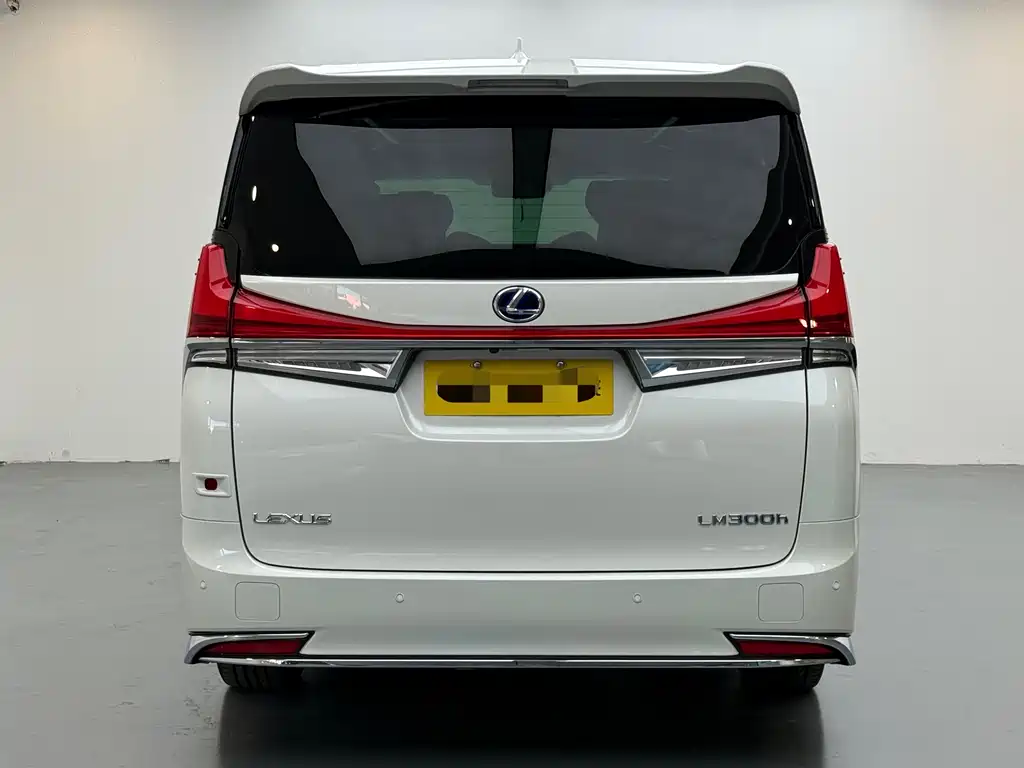 LEXUS LM