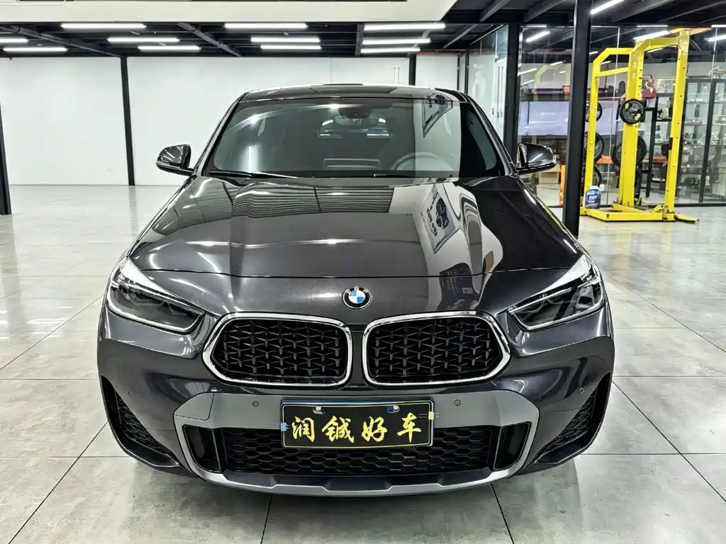 BMW X2 — миниатюра 2