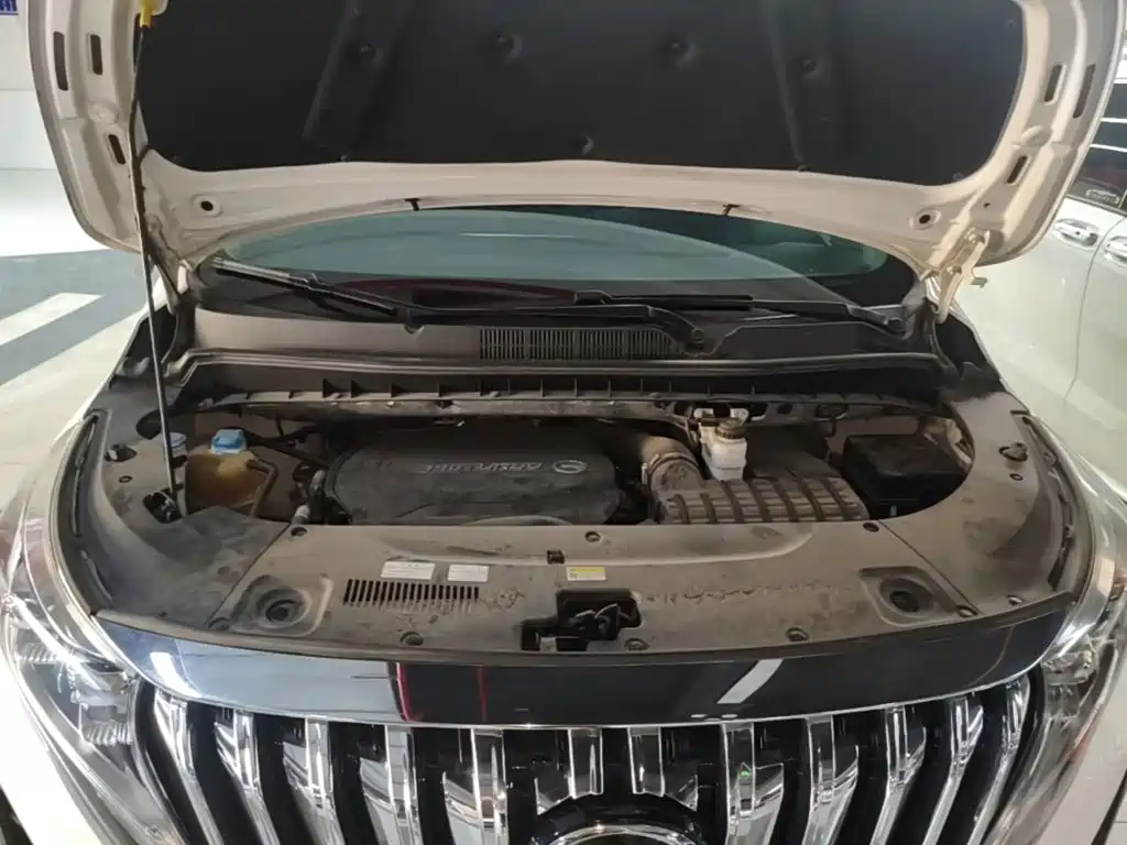 GAC Motor Trumpchi M8 — миниатюра 20