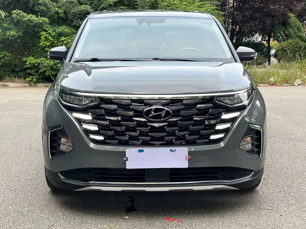 Hyundai Custo — миниатюра 2