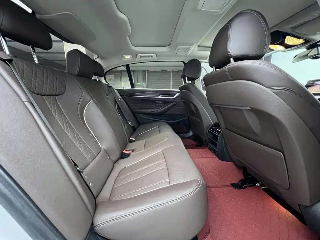 BMW 5 Series 5 2021 530Li xDrive M Sport